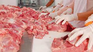 OMOGENEIZZATI: concentrazione minime di carne e pesce secondo normativa.  Sono sicuri? L'ombra degli estrogeni e l'allarme Efsa sul furano  cancerogeno